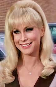 Awilda Cotto's Instagram, Twitter & Facebook