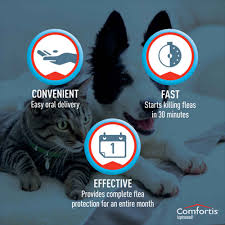 See the comfortis label for complete safety information. Comfortis 1800petmeds