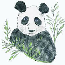 Day 02 My Favorite Animal Panda 30daysdrawingchallengue 30 Day Drawing Challenge My Drawings Art Design
