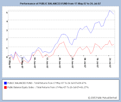 Public Mutual Fund Performance Chart And Calculation