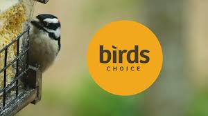 Amazon.com: Birds Choice Purple Martin Bird House 3-Section Telescoping  Pole, 12.5 Feet