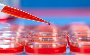 Colorectal cancer screening saves lives. Your Blood Can Tell If You Have Colon Cancer