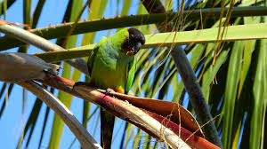 Maybe you would like to learn more about one of these? Exotic Pet Stores In Florida Petslover