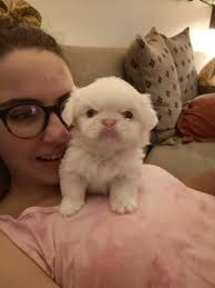 Look what i found 😯 can't wait to hear your feedbacks 🥰