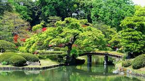 Jardin De Tokyo 2 3 Japon Avril 2014 Lonelyplanet Beautifuldestinations Japanesegarden Landscape Lovers Awesomeearth Fantastic Earth Ea Con Imagenes Japon Adrien