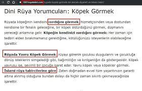 dini ruya yorumculari kopek gormek isaretler kopek hizmetci