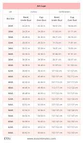We did not find results for: British Uk Bra Sizes In Inches And Centimeters