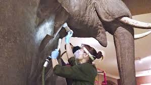 A Day In the Life of Museum Conservationalist Fran Ritchie