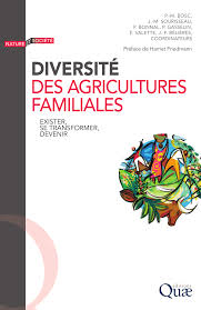 Pdf Diversification Des Activites Entre Strategies De Survie Et D Accumulation Introduction