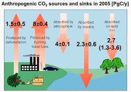 Anthropogenic Sources Human Created Sources Of Greenhouse Gases Include The Use Of Fossil Fuels Sources Of Greenhouse Gases Greenhouse Gases Human Activity