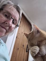 Morning everyone. Chelsea went out side for a few minutes just now and  there was a loud rumble of thunder and its also raining . She's back 🤣🤣