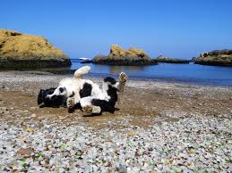 Fort bragg, ca 95437 there are actually three glass beaches — all former city trash dump sites — that are layered with beautiful sea glass. Glass Beach Enjoy It While You Can Radvanadventures Com