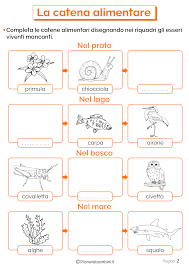 Video didattico per la scuola primaria. La Catena Alimentare Schede Didattiche Per La Scuola Primaria Pianetabambini It