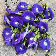 Herbal Spotlight: Butterfly Pea Flower, About & Uses - Du Jardin Beauty