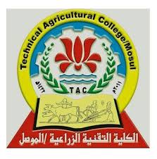 نرحب بجميع الضيوف و مجانا مجانا الأفلام الإباحية الساخنة الطازجة الكبار التي تظهر على الإباحية كل يوم ، والتي يمكنك مشاهدتها على الانترنت مجانا وبدون تسجيل. Ø§Ù„ÙƒÙ„ÙŠØ© Ø§Ù„ØªÙ‚Ù†ÙŠØ© Ø§Ù„Ø²Ø±Ø§Ø¹ÙŠØ© Ø§Ù„Ù…ÙˆØµÙ„ Ø§Ù„ØµÙØ­Ø© Ø§Ù„Ø±Ø¦ÙŠØ³ÙŠØ© ÙÙŠØ³Ø¨ÙˆÙƒ