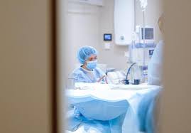 Places taoyuan district, taoyuan community organizationgovernment organization 動植物防疫檢疫局新竹分局. 5gtosd2ohinwom