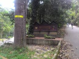 Air terjun coban talun ini berkawasan di di wisata bumi perkemahan yang ada di lereng gunung arjuna bagian barat yang lokasinya kurang lebih sekitar 15 km dari kota malang. Mendaki Gunung Pulai Johor Miera Hassan