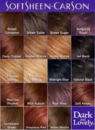 Dark Lovely Semi Permanent Hair Color Chart In 2019 Brown