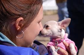 Sean Buckner's Instagram, Twitter & Facebook