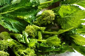 Check spelling or type a new query. Cime Di Rapa Tipologie Proprieta Benefici Uso E Controindicazioni