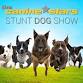 The Canine Stars Stunt Dog Show event image