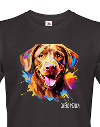 Image result for chesapeake bay retrívr