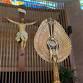 Holy Hour for Vocations event in Houston, TX