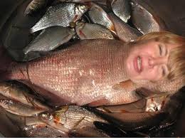 To make yours stand out and be recognizable in any server, i'll show you 8 different ways to make your pfp hilarious: 24 Hilarious Profile Picture Fails From Russian Social Networks That Will Make You Cringe