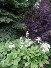 Check spelling or type a new query. Garden Design For A Shade Garden Shady Garden Ideas Plants Plans Online Garden Design