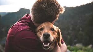 Geschenke Fur Hundebesitzer 10 Originelle Ideen Stern De