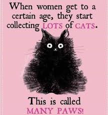 Many Paws Cat Quotes Crazy Cats Funny Cats