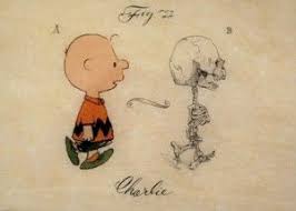 charlie brown skeleton drawing drawing cartoon characters skeleton drawings cartoon drawings