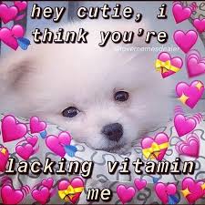 We did not find results for: Wholesome Love Memes Added A New Photo Wholesome Love Memes