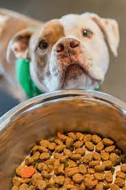 Freshpet Dog Food Review An Easy Way To Feed Your Pet Fresh Food Dog Food Recipes Dog Food Reviews Homemade Dog Food