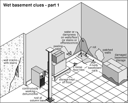 Both are dangerous organisms that can cause allergies and worsen existing respiratory problems such as asthma. Common Complaints Damp Basement Real Home Energy Solutions