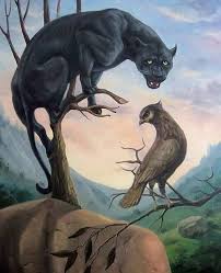 Araceli Dias guia PNCD (@rastrodaonca) • Instagram photos and videos