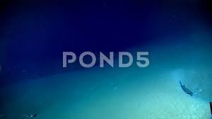 Deep Ocean Brine Pool Stock Footage Ad Brine Ocean Deep Footage Ocean Deep Ocean Pool