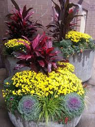 Pin On Chicago S Best Landscape Architects