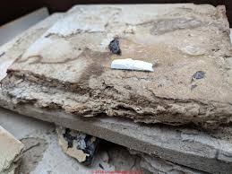 Asbestos Ceiling Tile Faqs 4 Q A On Asbestos Containing Ceiling Tiles