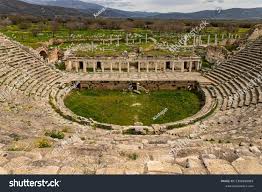 Image result for Afrosciadium