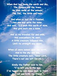 God Spelled Backwards Is Dog Poem Author Unknown Dog Poems Dog Heaven Quotes Dog Heaven