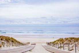 Epingle Sur Les Fetes Sur La Presqu Ile De Lege Cap Ferret