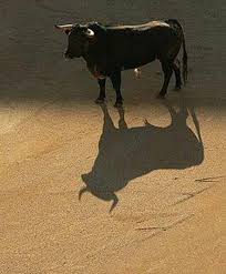 Sombras Y Realidad Bull Painting Animals With Horns Bull Riding