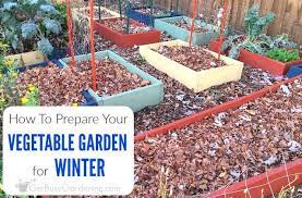 Check spelling or type a new query. 5 Easy Ways To Get Your Vegetable Garden Ready For Winter