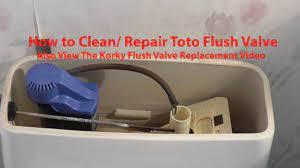 Then allow the residual water to drain by flushing the toilet. How To Clean Repair Toto Toilet Fill Flush Valve See Desc For Korky Youtube