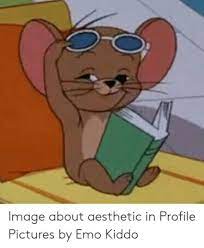 Animal memes funny animals cute animals. 19 New Funny Meme Profile Pics Picture 2020 4 August 2021