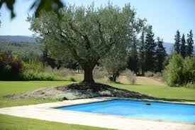 Domaine Four De Cony Maison D Hotes De Luxe Et De Charme A Saumane De Vaucluse Maison D Hotes Maison Design Maison