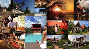 If you are looking for a resort which is close to beach, free from disturbance and not always crowded, paya beach spa and dive resort is the best choice to stay in tioman island. Paya Beach Spa And Dive Resort Picture Of Paya Beach Spa Dive Resort Pulau Tioman Tripadvisor