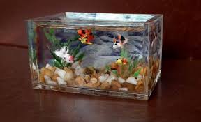 Purchase aquarium silicone sealant, pvc pipe and plastic. 1 12 Dolls House Miniature Fish Tank Aquarium Handmade Ornament Rare Table Lgws Dollhouse Miniatures Miniature Crafts Dollhouse Fish