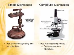 The oio, magnifies the actual size of the specimen , 100 times, with the aid of placing a drop of ceddar oil at the top of the coverslip. Post Lab Ex 1 To 7